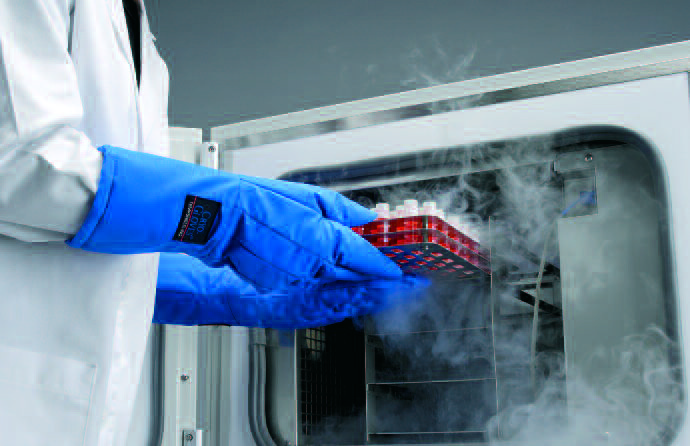 Программные замораживатели для ЭКО Thermo Fisher Scientific CryoMed - фото 2 - id-p175091876