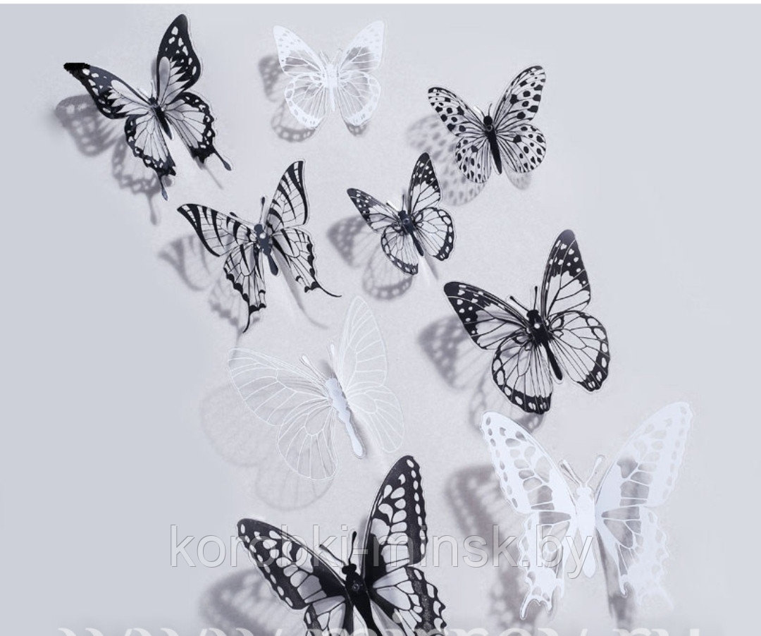 Флористический аксессуар "Бабочки", ПВХ в прозрачном боксе, 32шт./уп, Черно-белые - фото 3 - id-p175142419
