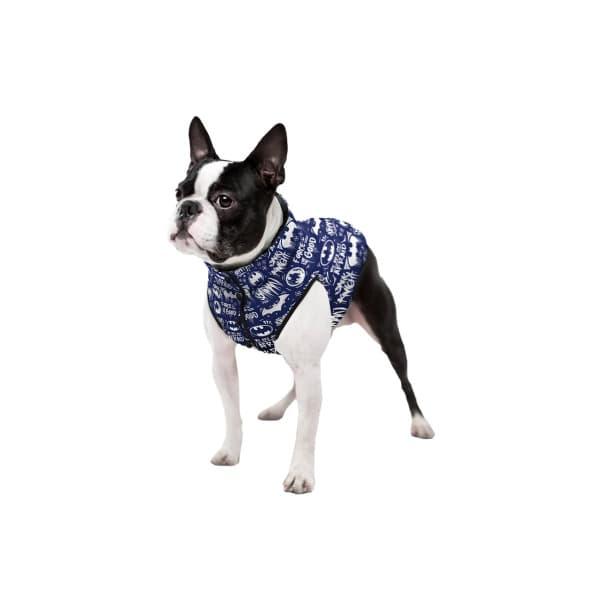 Курточка для собак WAUDOG Batman blue white S дл 28-30 см (0931-4001) - фото 1 - id-p175171414