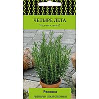 Розмарин Росинка лекарственный 10шт (Поиск) Четыре лета