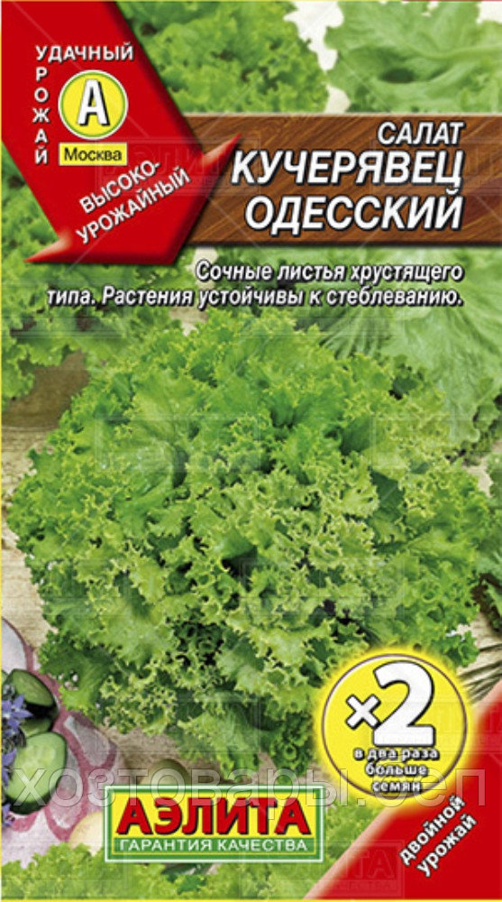 Салат Кучерявец одесский полукочанный 1г Позд (Аэлита)