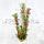 YUSEE Набор из пяти искусственных растений (1-15 см, 2-20 см, 1-30 см, 1-35 см.) YS-70206, фото 5