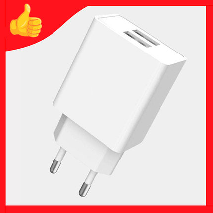 Быстрое зарядное устройство 2 USB выхода 2.1A Denmen DC02, фото 2