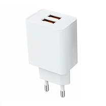 Быстрое зарядное устройство 2 USB выхода 2.1A Denmen DC02, фото 2