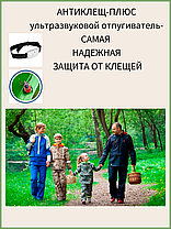 Комбайн для сбора ягод + Ультразвуковой отпугиватель клещей АНТИКЛЕЩ-ПЛЮС (комплект), фото 2
