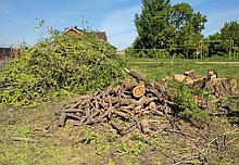 Расчистка участков от деревьев поросли