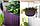 Подвесной горшок "Cosy M" (Коузи М), фиолетовый, фото 2