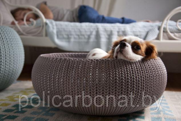 Лежанка для домашнего любимца Knit Cozy Pet Bed-Foggry - фото 3 - id-p107895924