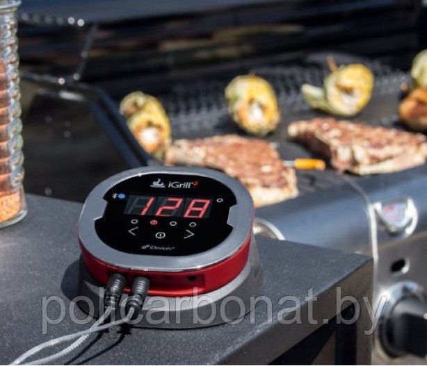 Цифровой термометр iGrill 2 - фото 6 - id-p107895717