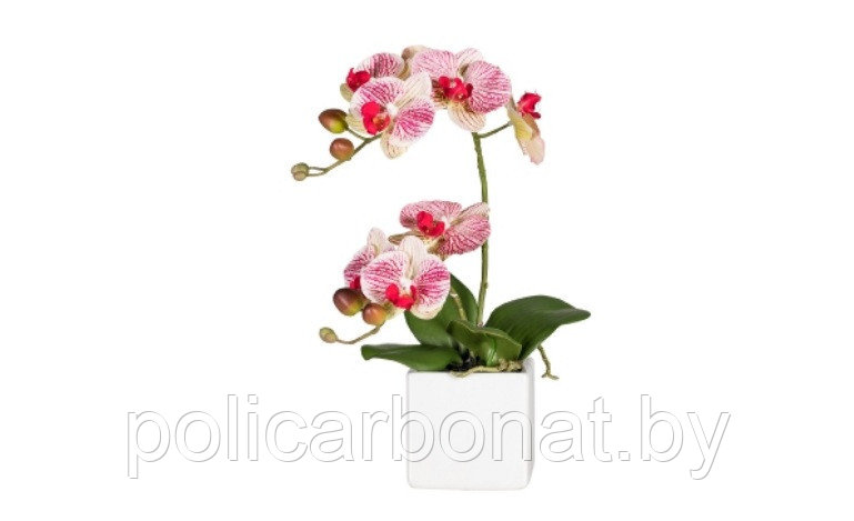 Орхидея искусственная 45 см, в керамическом горшке, белый - фото 1 - id-p107896111