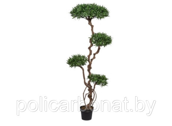 Подокарпус дерево искусств. 130 см, зеленый, в горшке - фото 1 - id-p107896119