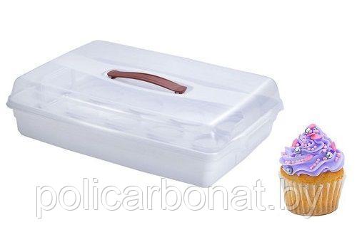 Контейнер для пирожных CUPCAKE BOX, прозрачный - фото 1 - id-p107895856