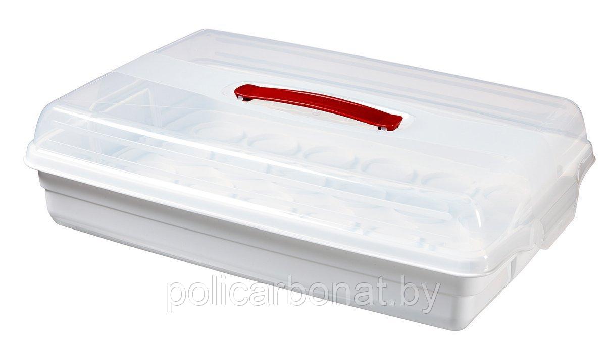 Контейнер для пирожных CUPCAKE BOX, прозрачный - фото 2 - id-p107895856