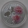 Гвоздика (Dianthus), 10 рублей 2013, серебро, фото 2