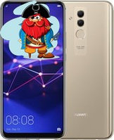Задняя крышка для Huawei Mate 20 Lite (SNE-LX1) цвет: золотистый