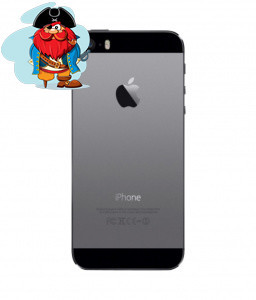 Задняя крышка (корпус) для Apple iPhone 5S (A1533, A1457 , A1530, A1533, A1453, A1518, A1528, A1530 цвет: - фото 1 - id-p88616434