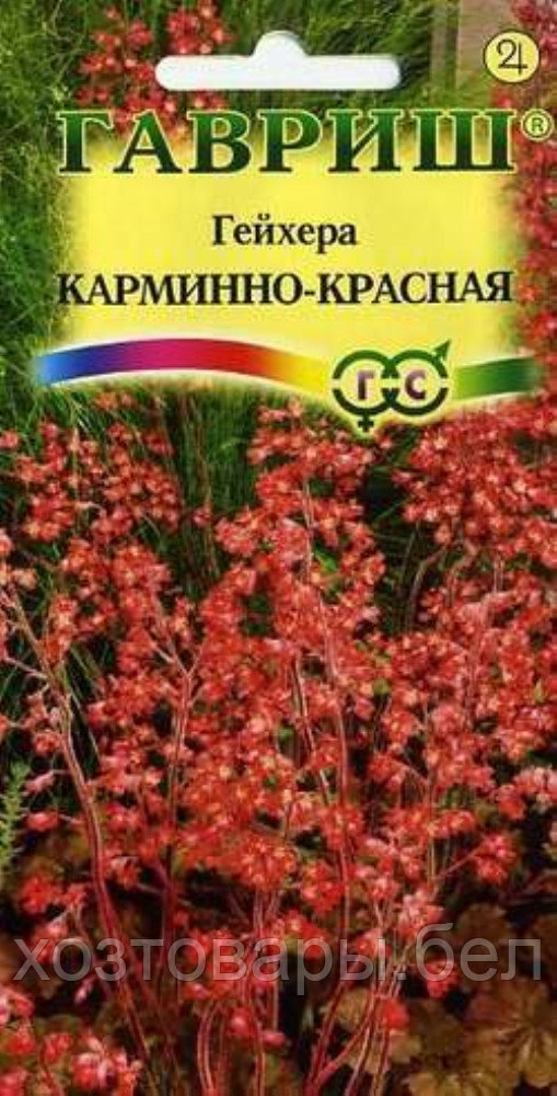 Гейхера Карминно-красная 0,01г Мн 60см (Гавриш)