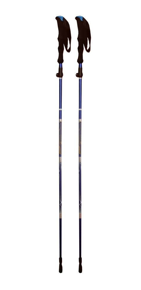 Палки для скандинавской ходьбы FORA XG-03, телескоп., длина 65-135 см (синия) - фото 1 - id-p173949948