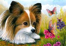 Алмазная мозаика "Собачка и бабочки" на подрамнике