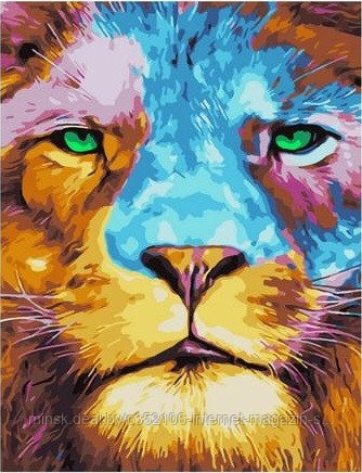 Рисование по номерам "Разноцветный лев" картина