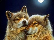 Картина стразами "Волк и волчица"