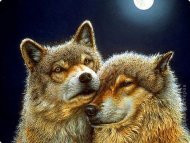 Картина стразами "Волк и волчица" - фото 1 - id-p21688654