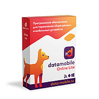 ПО DataMobile, версия Online Lite (Windows/Android)