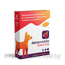 ПО DataMobile, версия Online Lite (Windows/Android)