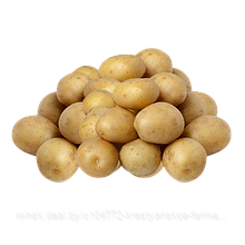 Семенной картофель Коломба 1РС