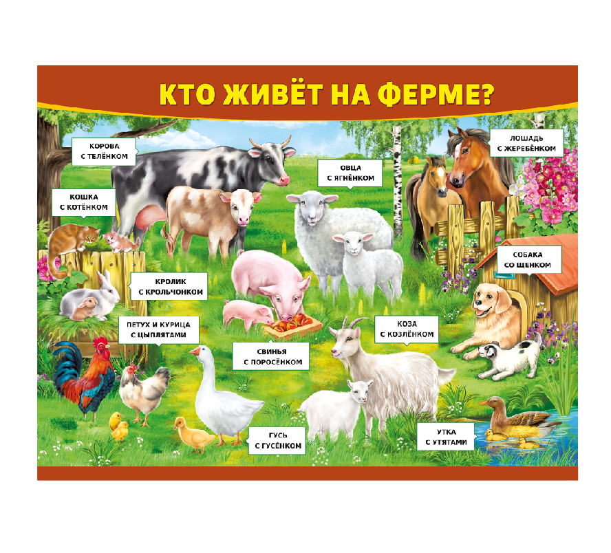Стенд для детского сада "Кто живет на ферме?" - фото 1 - id-p175597322