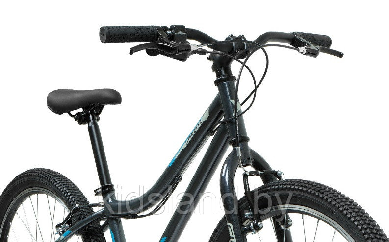 Велосипед Forward Titan Dick 24 2.1" (темно-серый/бирюзовый) - фото 3 - id-p175612265