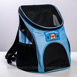 Рюкзак для переноски животных «Лучший друг» 31х23х30 см