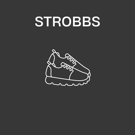 Strobbs весна-осень