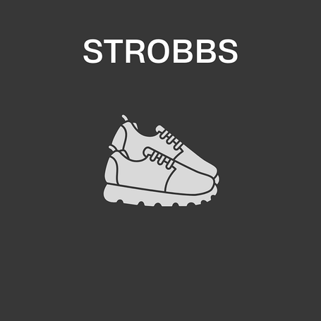 Strobbs весна-осень