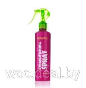 Salerm Спрей для выпрямления волос Straightening Spray 250 мл - фото 1 - id-p173656503
