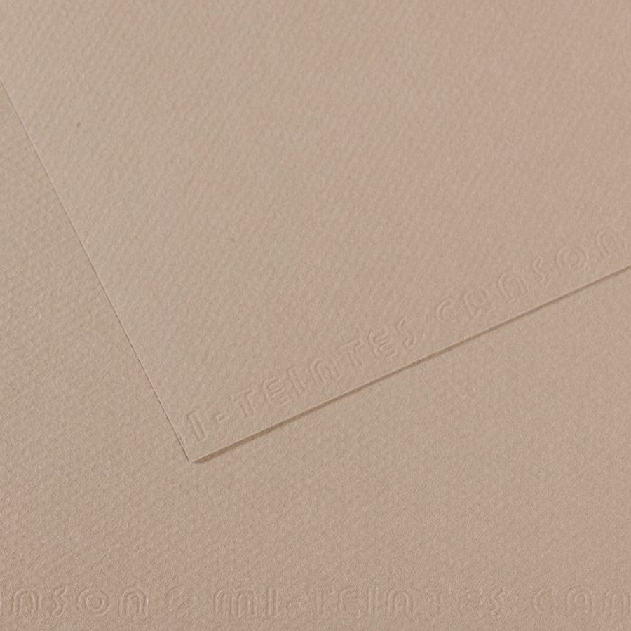 Бумага для пастели Mi-Teintes 160г/м.кв 50*65 см №122 Серая фланель