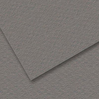 Бумага для пастели Mi-Teintes 160г/м.кв 50*65 см №431 Серый стальной