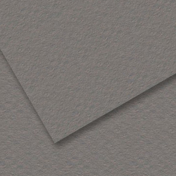 Бумага для пастели Mi-Teintes 160г/м.кв 50*65 см №431 Серый стальной - фото 1 - id-p175803796