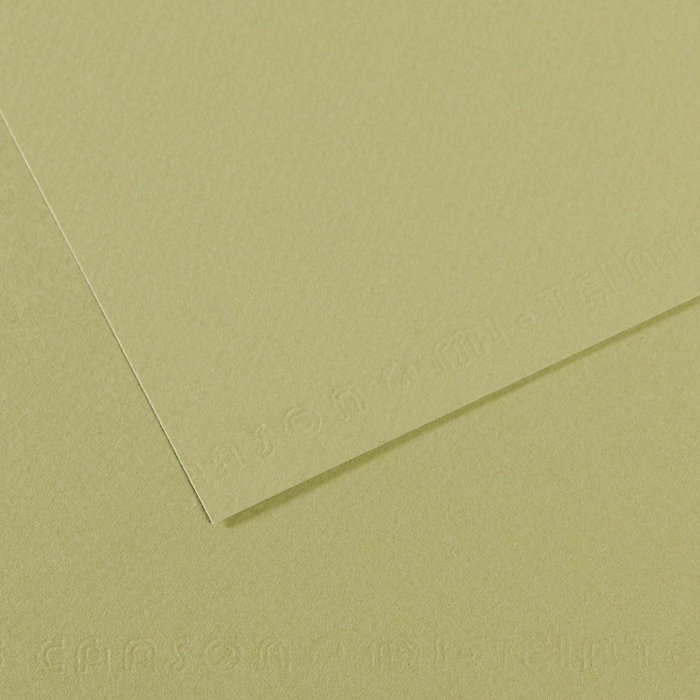 Бумага для пастели Mi-Teintes 160г/м.кв 50*65 см №480 Зеленый светлый