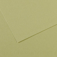 Бумага для пастели Mi-Teintes 160г/м.кв 50*65 см №480 Зеленый светлый