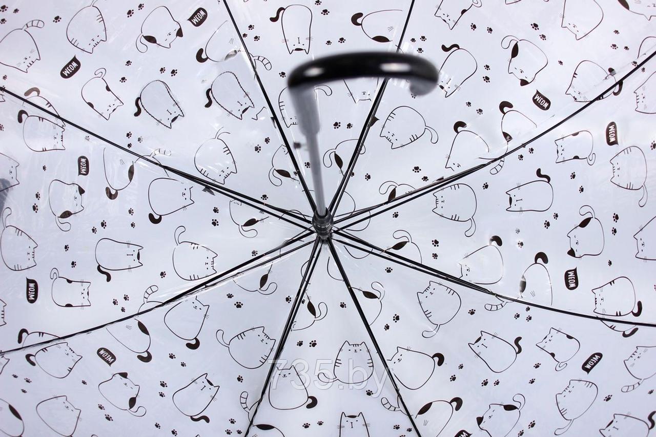 Зонт прозрачный «КОТЫ» - фото 3 - id-p175811692