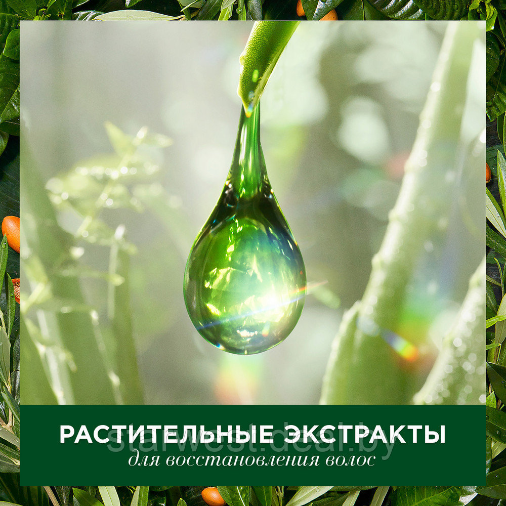 Herbal Essences Глубокое Восстановление Марокканское Аргановое Масло 400 мл Шампунь для волос - фото 8 - id-p175833917