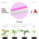 Светильник для растений, фитолампа светодиодная линейная ЭРА FITO-9W-Т5-N красно-синего спектра 9 Вт Т5, фото 2