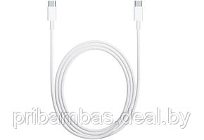 USB дата-кабель USB-C, Type-C Apple A1997 MUF72ZM/A (1м)