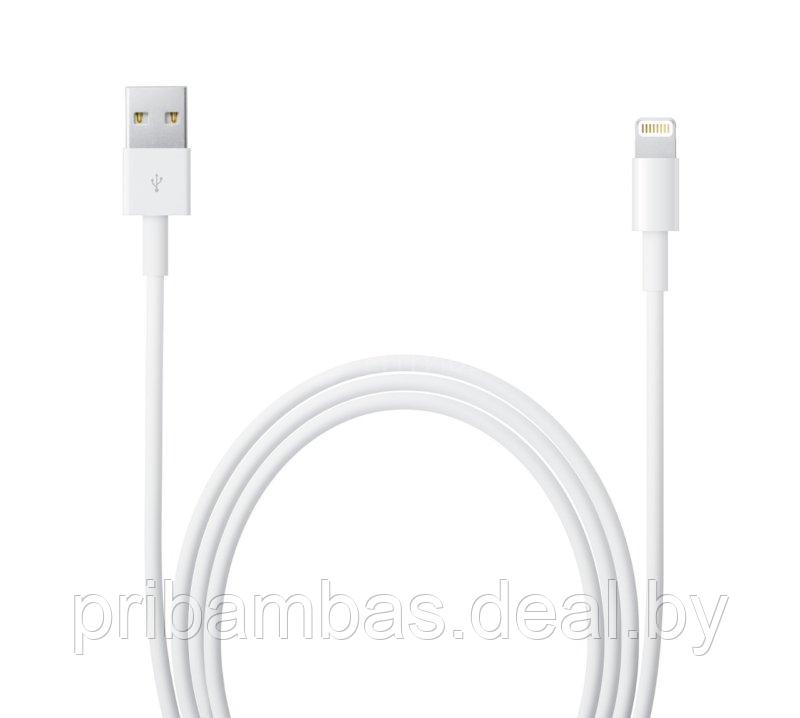 USB дата-кабель Lightning A1510 MD819ZM/A 2м для Apple iPhone 5, 6, 7, 8, 10, 11, 12