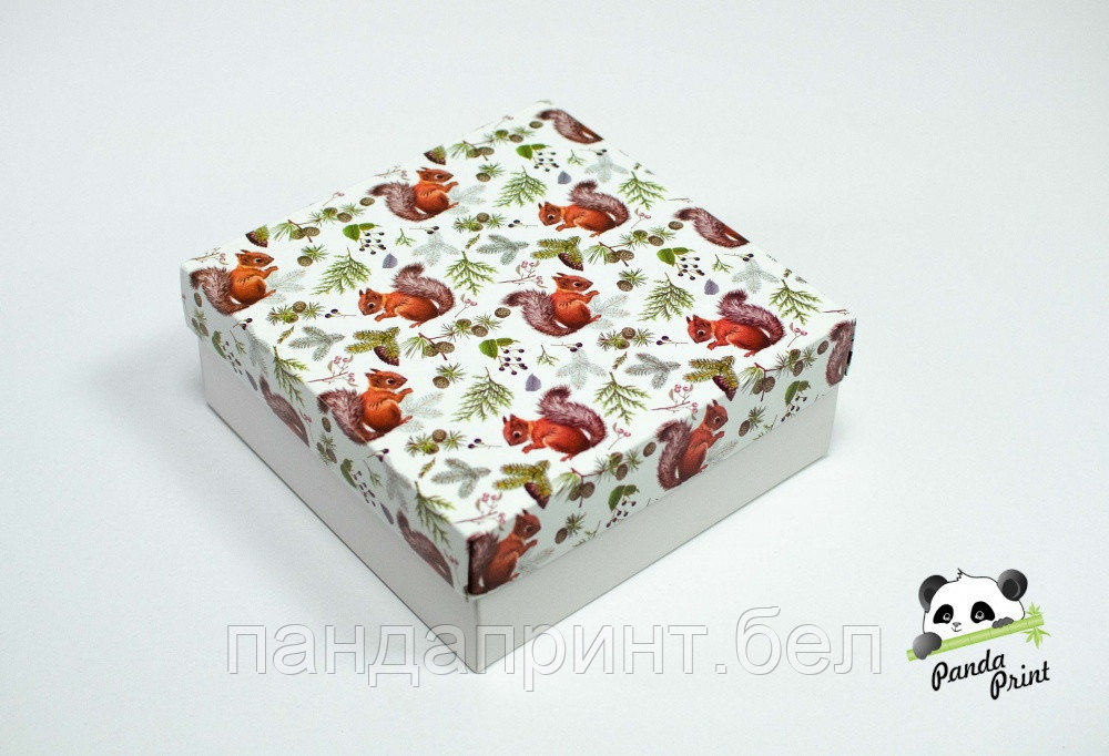 Коробка 200х200х80 Белки (белое дно)