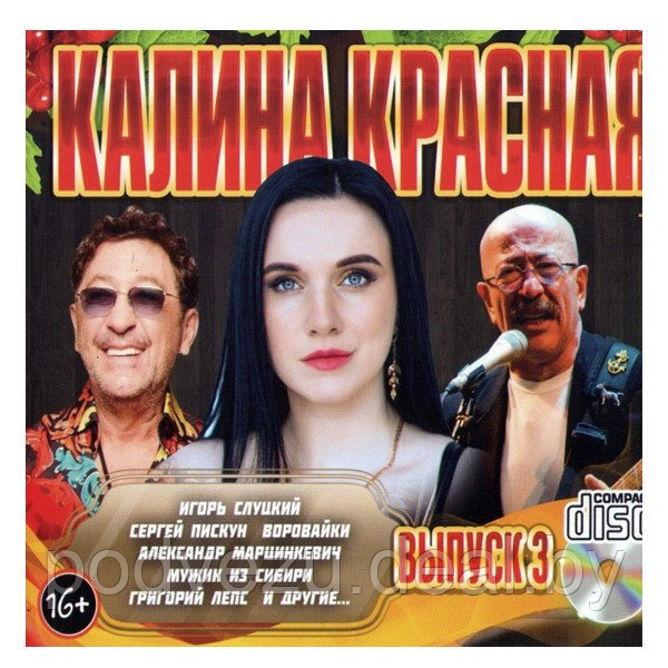 Калина Красная - выпуск 3 (Audio CD) - фото 1 - id-p176004413