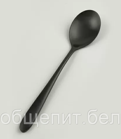 Ложка столовая ,покрытие PVD,черный матовый цвет,серия "Alessi-Black" P.L.