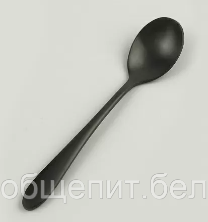 Ложка чайная ,покрытие PVD,черный матовый цвет,серия "Alessi-Black" P.L.