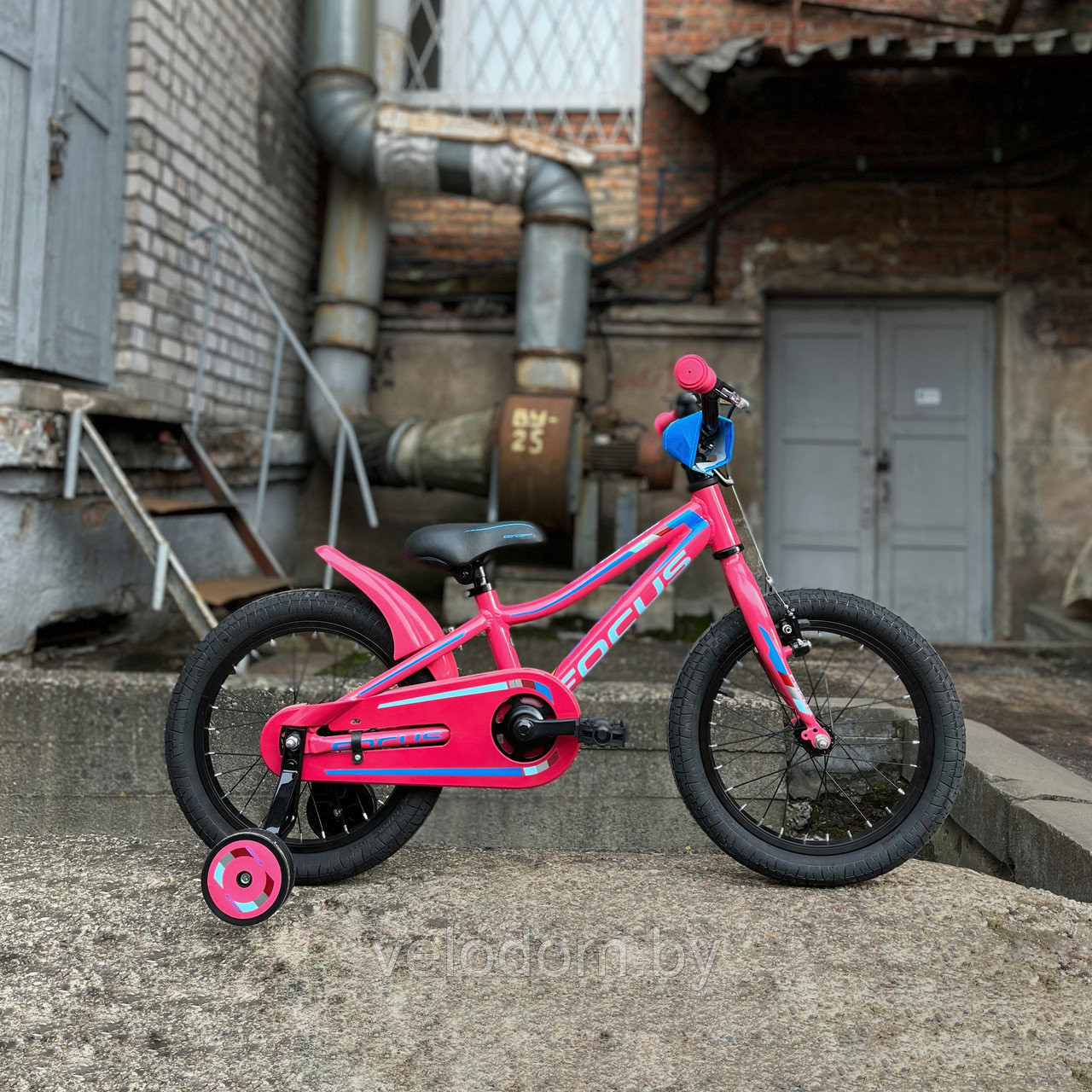 Focus Raven Rookie 2.0 Donna розовый